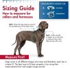 Coastal Pet Walk Right Padded Dog Harness Red - Small