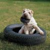 KONG Traxx - Medium/Large - For Dogs 35-60 lbs (4.5" Diameter)