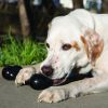 KONG XTreme Goodie Bone - Black - Medium (For Dogs 15-35 lbs)