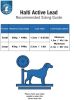 Company of Animals Halti All In One Lead for Dogs Black - Large