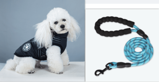 Waterproof Dog Clothes Winter Dog Coat With Harness Warm Pet Clothing Big Dog Jacket Chihuahua Labrador Coat Costume (Option: Black-XS)