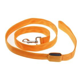 LED Luminous Traction Belt Dog Leash (Option: Orange-Rechargeable Sling)